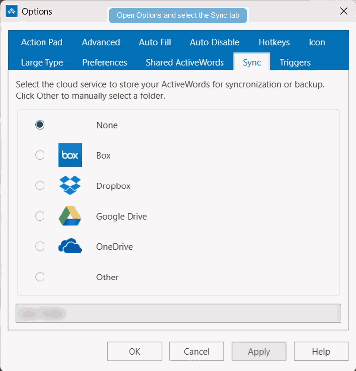 Configuring ActiveWords Sync in Options